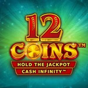 12 Coins™ game screenshot