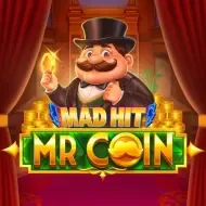 Mad Hit Mr Coin game screenshot