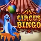 Circus Bingo game screenshot